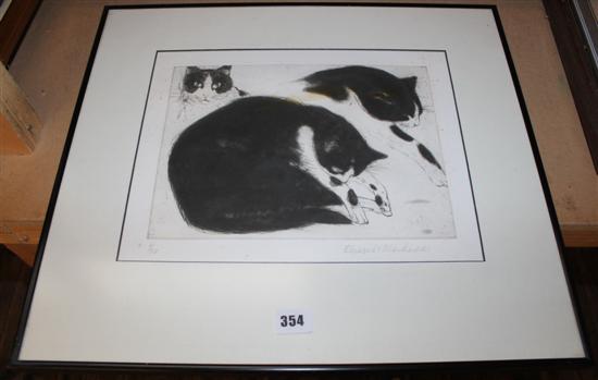 Blackadder cat print